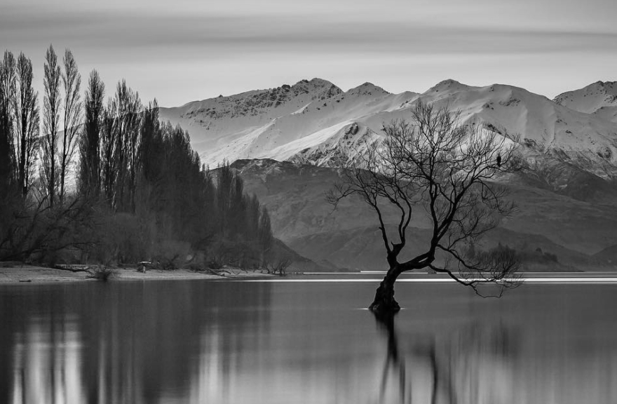 New Zealand